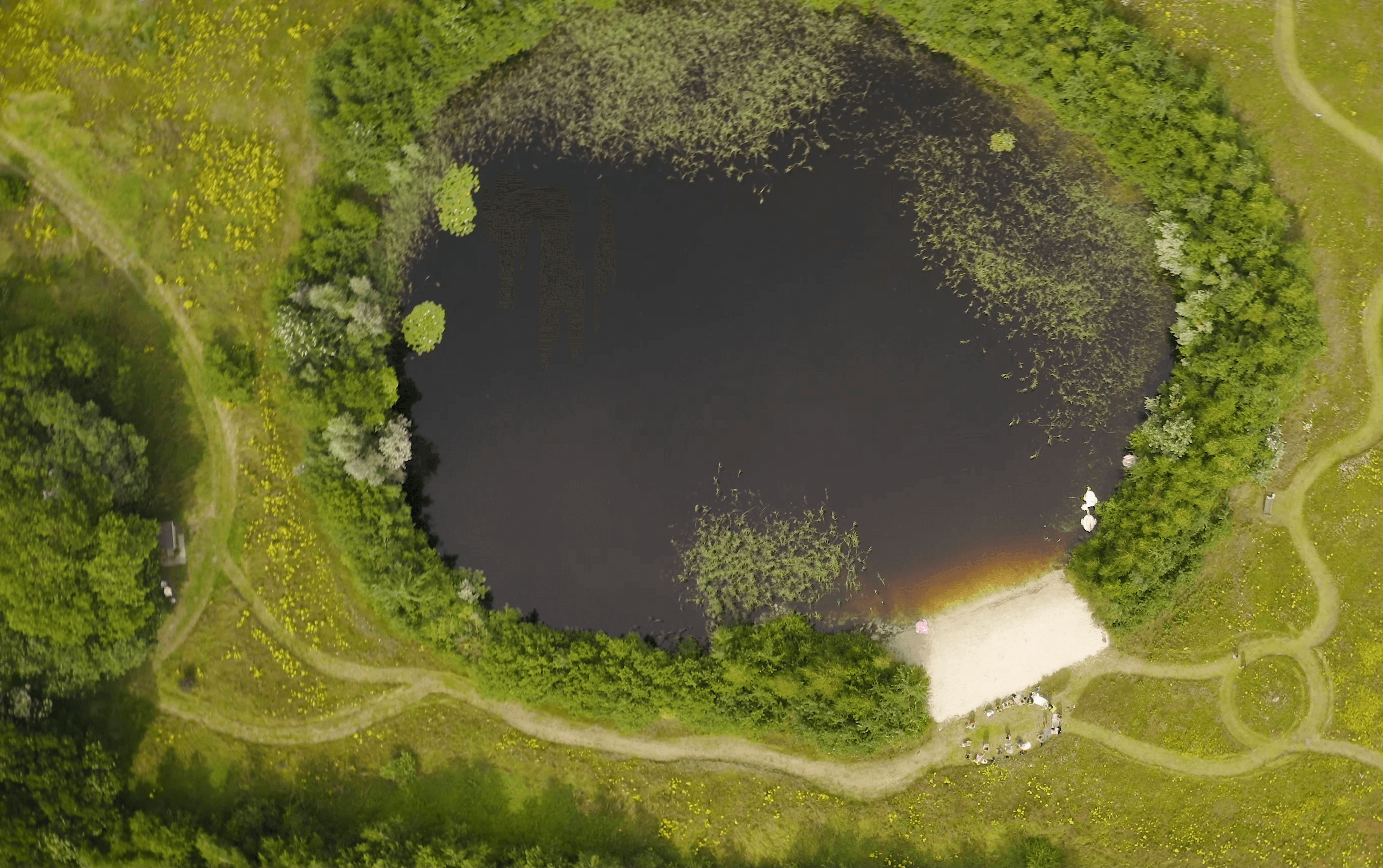 NATURAL SWIMMING POND WITH PRIVATE BEACH